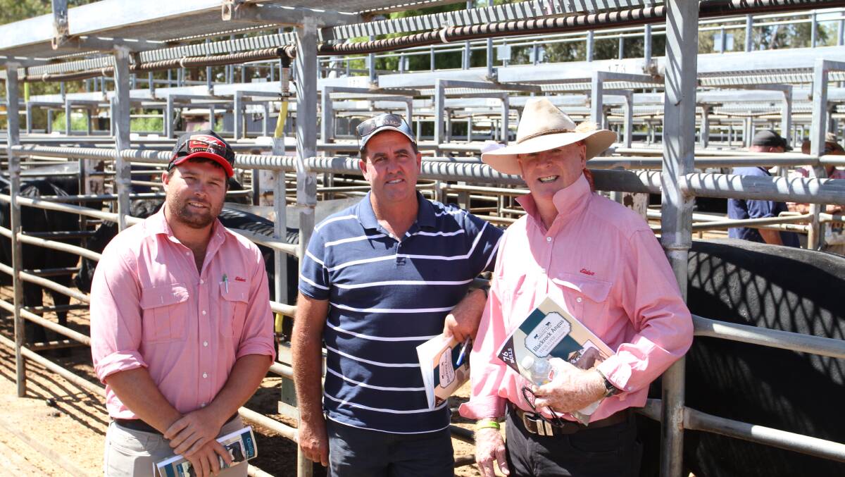 Brendan Millar (left), Elders, Margaret River and Alan Browning, Elders, Mid-West and Goldfields, with their client Darren Cobley, R & R Cobley & Son, Walkaway, who purchased a GDAR Regulator 364 son for $10,500 at the Blackrock sale.

