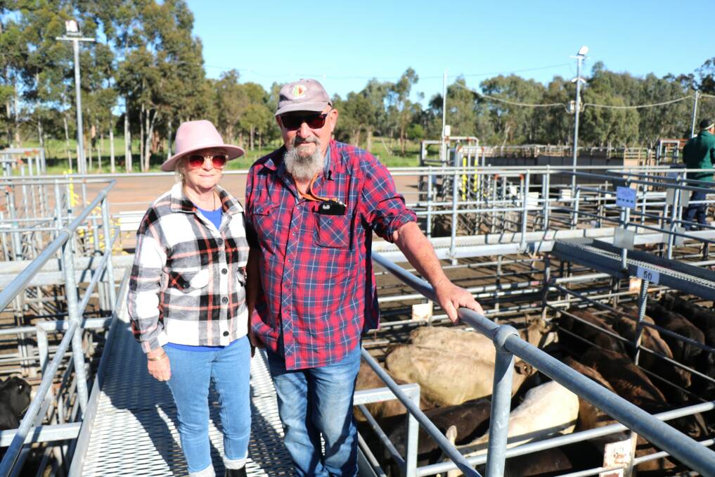 Carolyn and Tony Racco, Myalup, were some of the first to check out the cattle at the Nutrien Livestock Boyanup cattle sale.