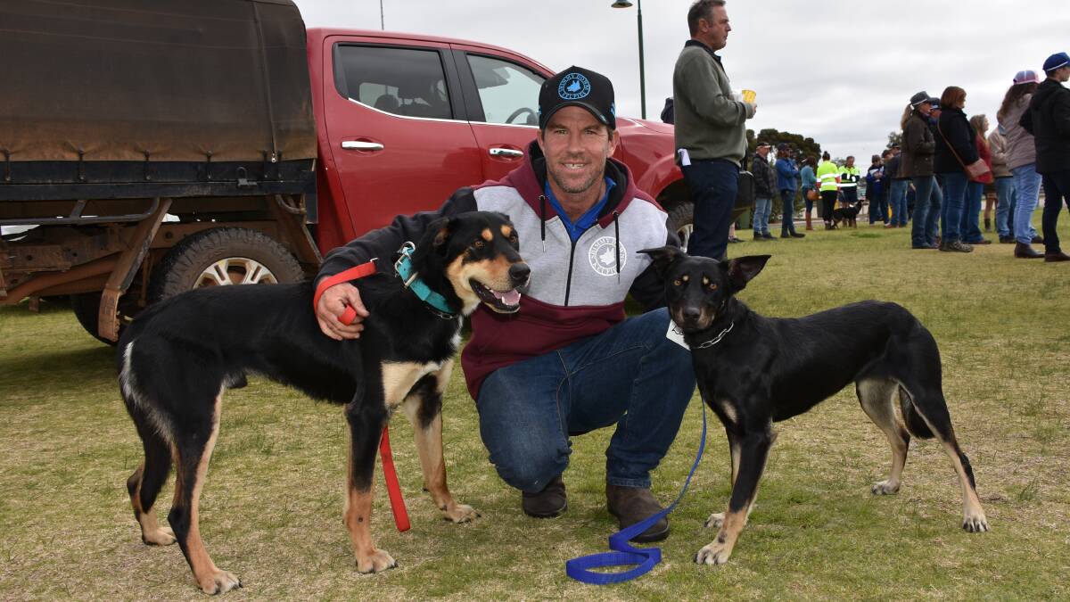 After selling the top-priced dog in last years sale James Carr, Shimmy Downs Kelpies, Busselton, returned again this year and sold two entries. He sold Kraken Razor (left), a 14-month-old fully trained male Kelpie for $9000 and Shimmy Downs Cleo, a 10-month-old, moderately trained Kelpie female for $8000.
