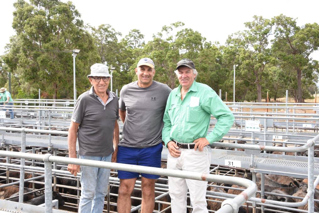 Vendors Paddy (left) and Bruno Italiano, PG & BP Italiano, Harvey, caught up with their agent Errol Gardiner Nutrien Livestock, Brunswick/Harvey, to look over their calves. In the sale the Italiano family sold 41 Angus steers to a top of $920 and five Speckle Park sired heifers to a top of $589.
