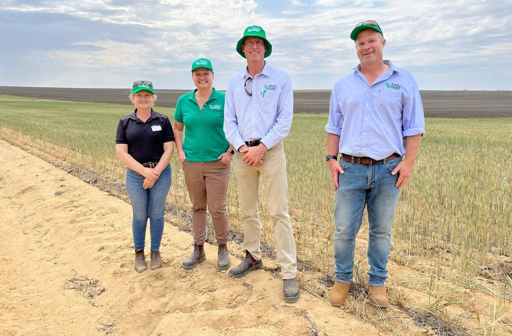 GRDC Western Spring Panel tour participants visit a strip and disc trial site at Latham, including GRDC board member and South Australian grower Sharon Starick, (left), GRDC manager weeds, Sarah Morran, GRDC senior regional manager west, Peter Bird and GRDC southern panel member Andrew Bate.
