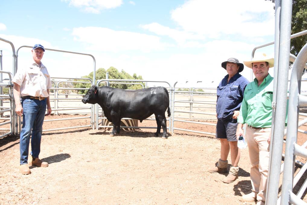 Prices hit a high of $20,000 at the Springhills Angus on-property bull sale at Boyup Brook on Monday. With the top priced bull purchased by Rhodes Pastoral, Boyup Brook, were Springhills principal Michael Wallace (left), Rhodes Pastoral cattle manager John Curtain and Nutrien Livestock, Boyup Brook agent Jamie Abbs.
