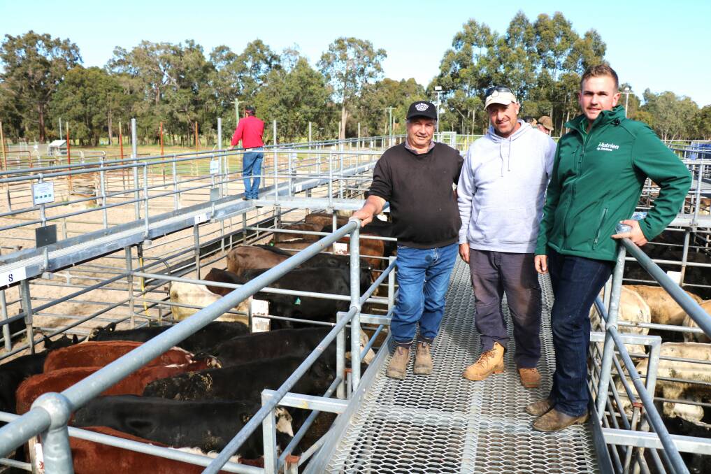 Alf Angi (left) and Charlie Odorisio, both of Waroona, with new Nutrien Livestock trainee Thomas Spencer who started a six-month traineeship in the South West. Mr Odorisio sold Hereford cross steers for $1150.
