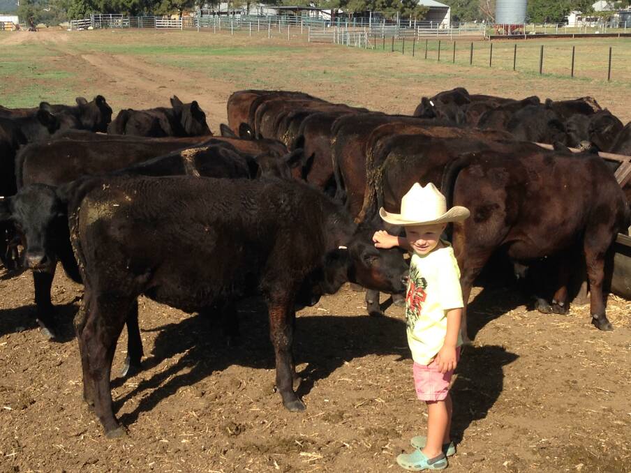 EARLY LEARNING: Penny Thomspon with some of the family's young calves.
