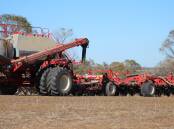 The Varone familys Morris 9555 air cart and Quantum air drill has improved crop establishment on their deep light soils at Pingaring, while having the same brand air cart and bar also has allowed everything to work in harmony.
