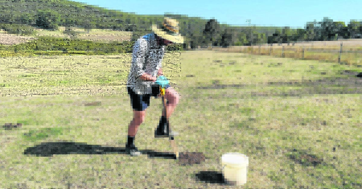 Daniel Anderson collecting dung beetles at Walpole as part of his ongoing research.