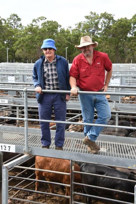 Manjimup producer Bob Pessotto (left), F Pessotto & Sons, looked over the weaners he had on offer with Elders, Manjimup/Pemberton representative Brad McDonnell. The Pessotto family sold 24 Angus steers to a top of $975 and 260c/kg for steers weighing 375kg.
