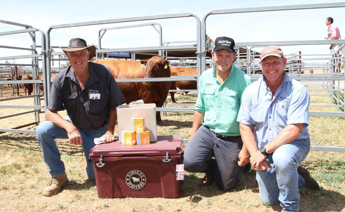 Volume buyer Gordon Atwell (left), Welldon Grazing, Williams, Lewis Payne, Nutrien Livestock, Williams and Willandra stud co-principal Peter Cowcher with the volume buyer and lucky lot prizes sponsored by Williams Rural Supplies and Waroona Rural Supplies. Mr Atwell purchased seven Simmental bulls, three red factor Angus bulls and a single Angus bull paying from $5000-$9000.
