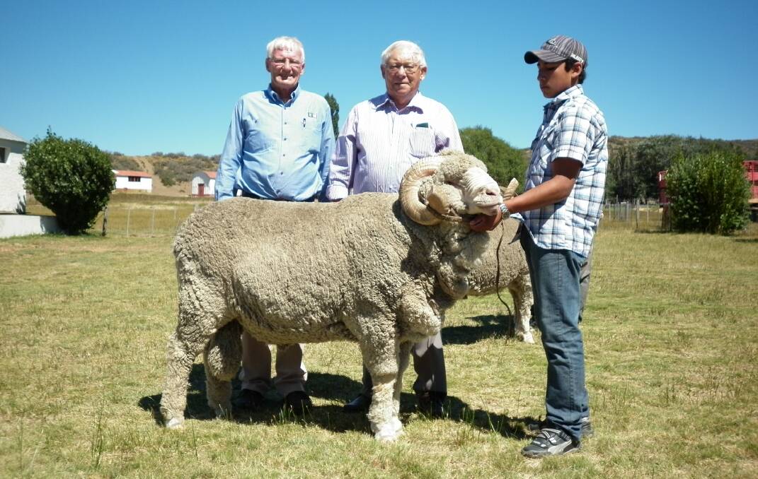 Glen Keamy (centre), was a regular visitor to Argentina and promoted WA Merino genetics heavily in the region. On a trip to Argentina in 2013 he inspected a ram from the East Mundalla stud, Tarin Rock, with East Mundalla co-principal Philip Gooding (left).
