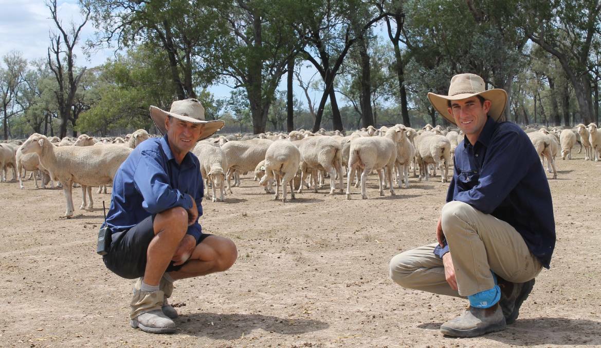 SUCCESSION PLANNING: Trevor and Alan Rissmann, are third and fourth generation sheep producers and breeders.