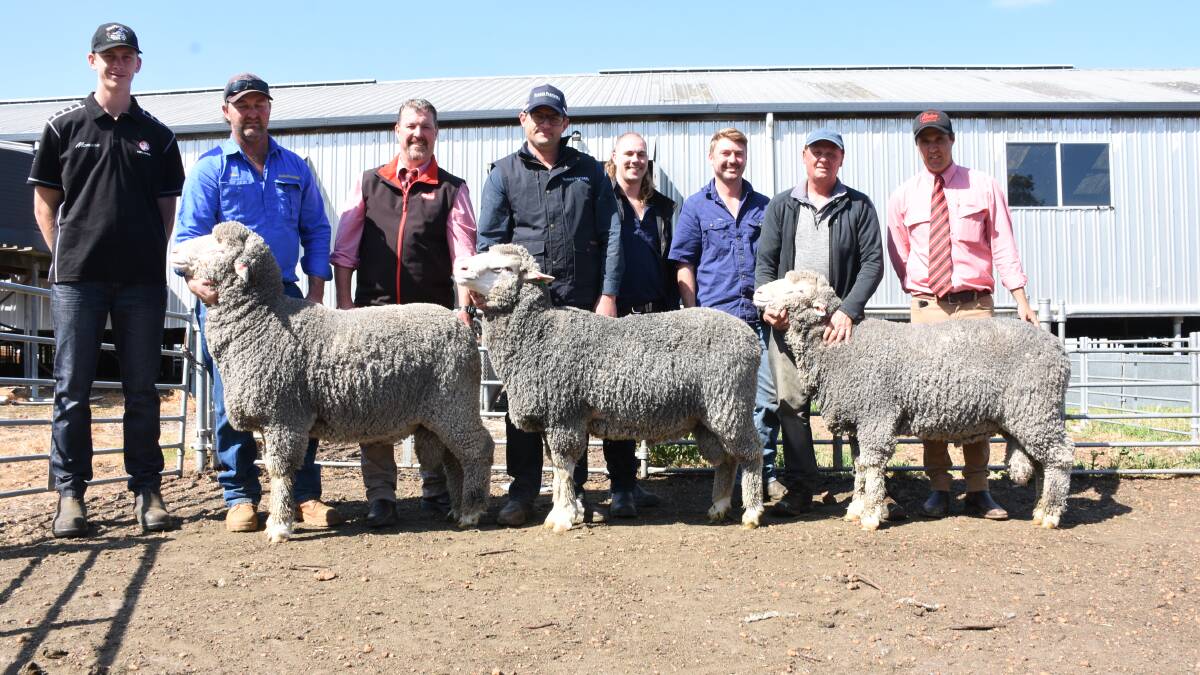 Prices hit a high of $4000 three times at the Westerdale Poll Merino on-property ram sale at McAlinden last week for these three rams which were purchased by SE & SA Browne, Bindoon, Rhodes Pastoral Pty Ltd, Boyup Brook and Lindsay stud, Mt Barker. With the rams were Westerdale's Ashton Lantzke (left), Dale Browne, Bindoon, Elders stud stock representative and auctioneer Nathan King, Rhodes Pastoral's Michael Potter and Chris Hewton, Westerdale's Craig Jackson, Clive Drage, Lindsay stud and Elders, Darkan agent Mitch Clarke.
