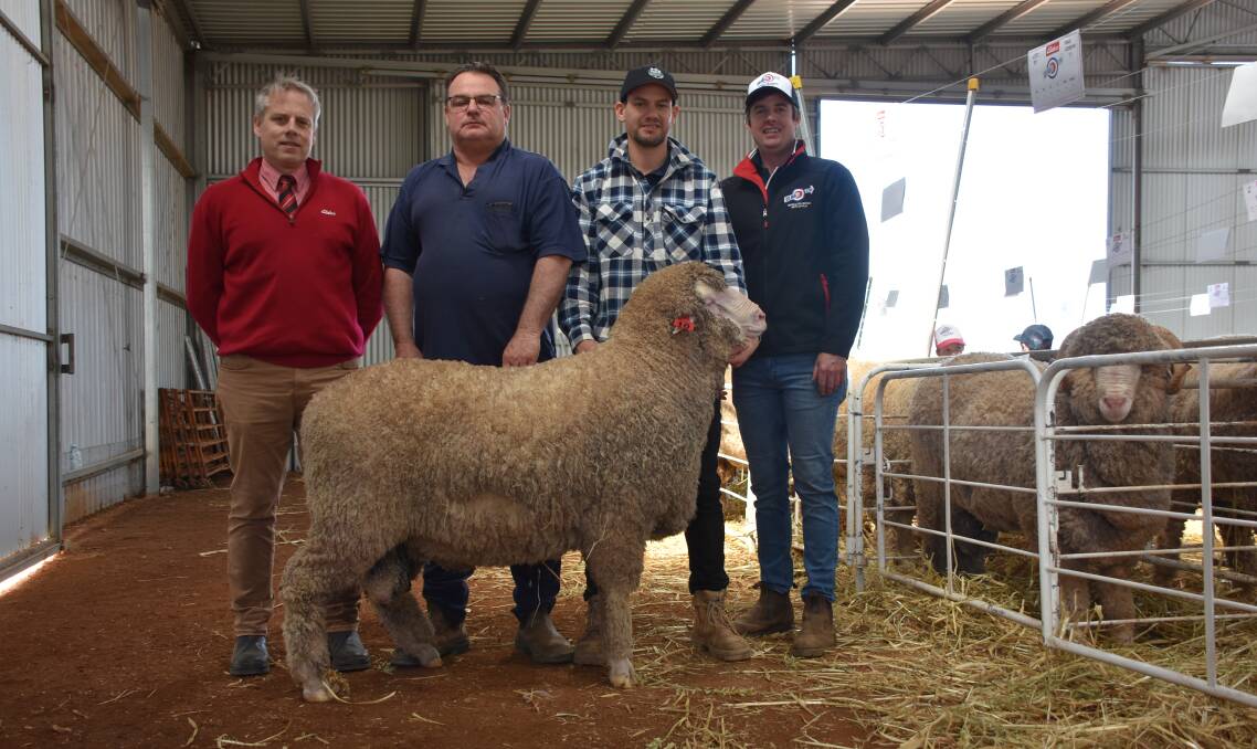 This Poll Merino sold for the $5800 second top price in the sale when it sold to the Stephen family, KA & CM Stephen, Moorine Rock. With the ram were Elders central area manager Matt Beckett (left), buyers Kim and Dane Stephen and Kolindale stud co-principal Luke Ledwith.
