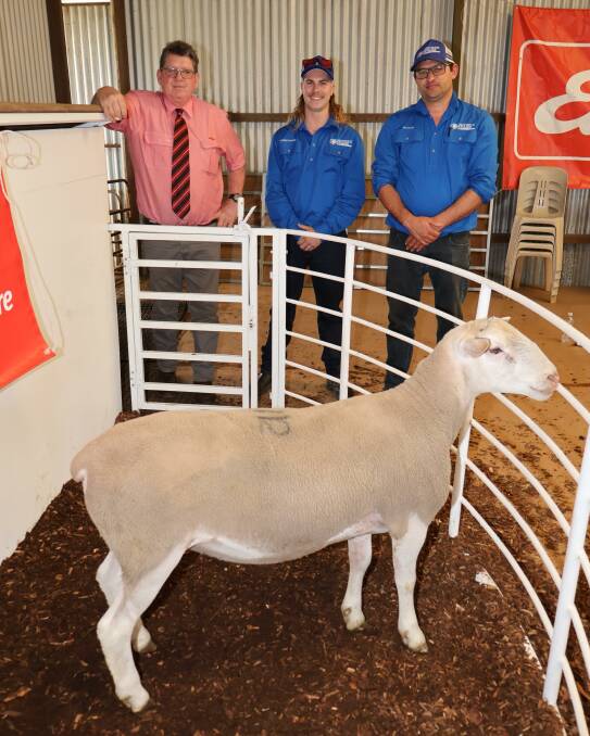 Elders stud stock prime lamb specialist Michael O'Neill (left), with buyer Boree Park White Suffolk stud, Dinninup, representative Chris Hewton and stud manager Michael Potter, with the $1900 top-priced White Suffolk ram.