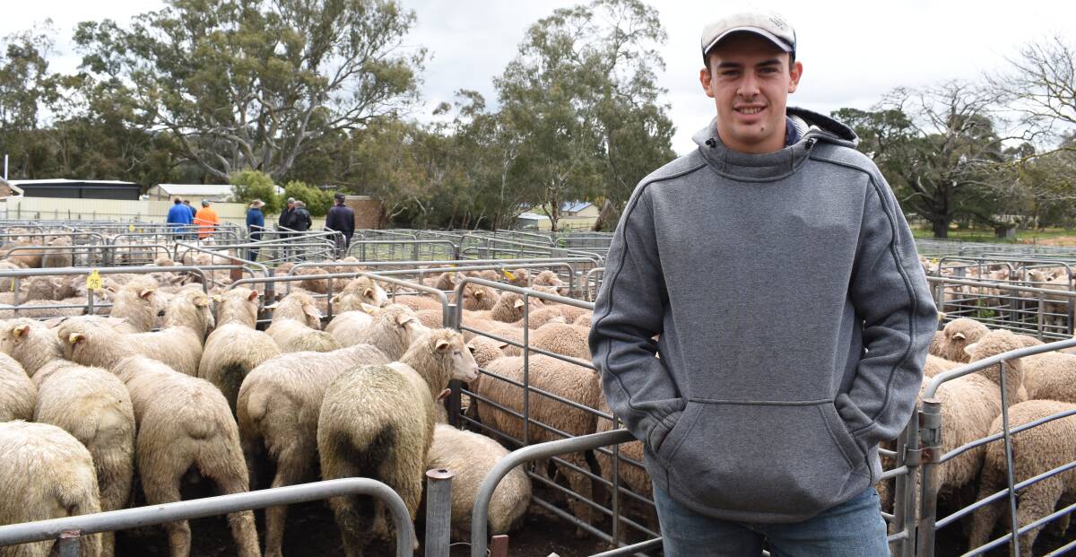 CROSSBREDS: Jacob Fiebiger, Keyneton, SA, sold crossbred lambs at the Mount Pleasant, SA, sheep and lamb market last week.