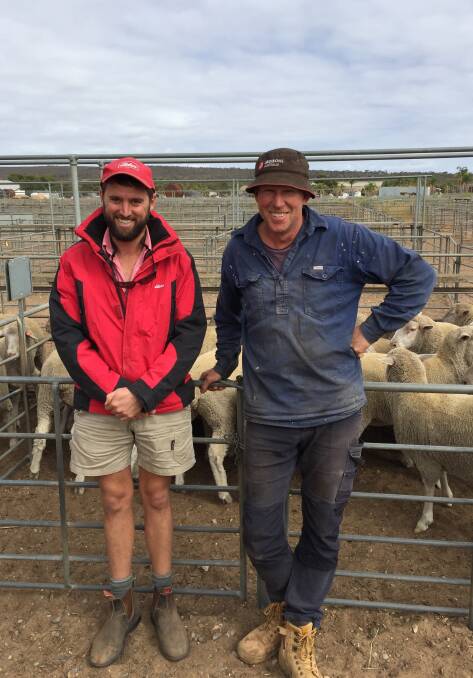 Elders agent Justin Robertson, with vendor Gary Bald, Ettrick, SA, at the Murray Bridge weekly sheep sale last week.