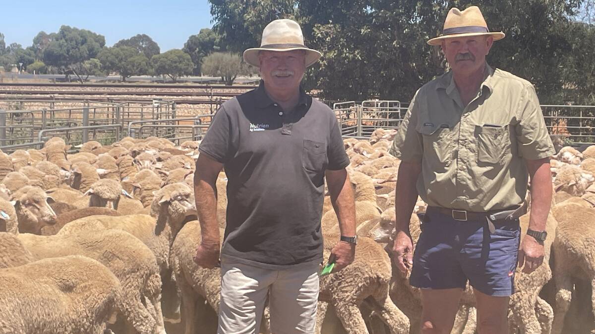 Nutrien livestock agent Jeff Oakley, Peterborough, SA, with Michael Sandland, Black Rock, SA, who sold wether lambs at Jamestown, SA. Picture by Kiara Stacey