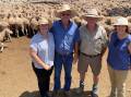 Katrina and Peter Yeo, Mendooran, NSW, bought scanned-in-lamb Merino ewes from Ken and Brenda Rawling, Merrygoen, NSW, at Dunedoo, NSW. Picture by Karen Bailey