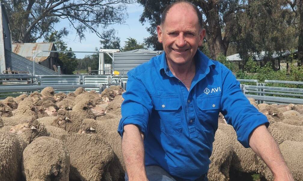 SIGNIFICANT TRIAL: Steinfort AgVet managing director Dr John Steinfort is working with The University of Melbourne researchers to assess the responses to different lamb marking procedures.