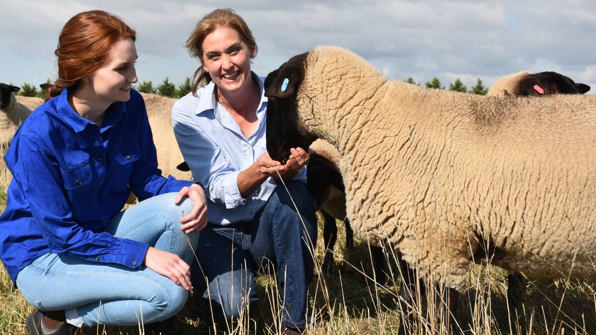 BREED PROMOTION: Romsey-based Blue Rock Suffolk stud principal Deva Weitman (right), and daughter Sequoia, with some of the stud's ewe flock.