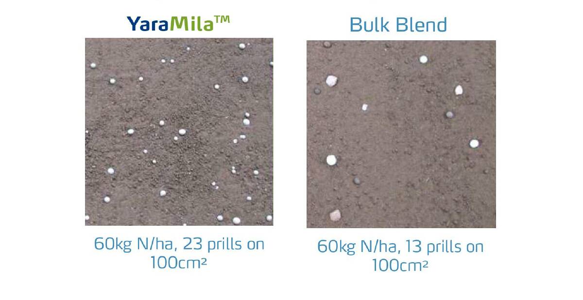 Uniform application and distribution of nutrients is one of the key benefits of using a true uniform compound fertiliser, as found in YaraMila 21-7-3. Picture supplied 
