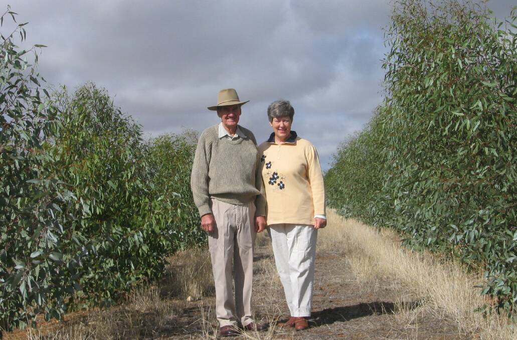 Reaping the benefits: Farmers Col and Jan Lucas from Avondale Station in NSW worked with CO2 Australia to establish a carbon project on their property.