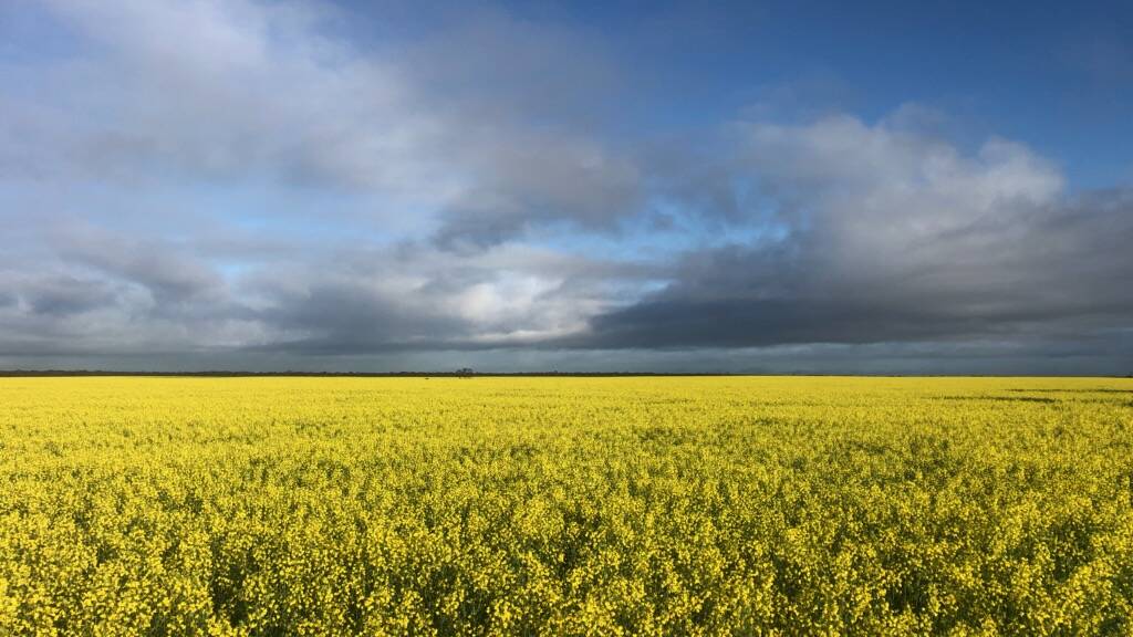 Tom and Victoria Brown farm 4600 ha of canola, wheat and barley on the southern coast of the state's grain belt. Picture: Supplied