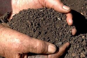 Funding for soil health