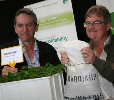 Agriculture and Food Minister Terry Redman (left), with DAFWA senior research officer Phillip Nichols launch the all new subterranean pasture variety, Narrikup.