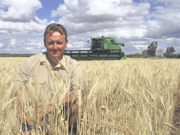 The familiar drone of a header broke the silence in the north east Wheatbelt at Pindar this week, as local farmer Mark Flannagan became arguably the first in WA to start this year's harvest. 