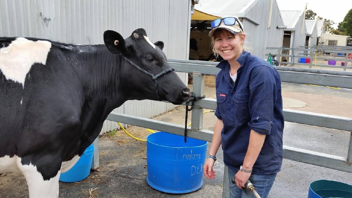 Harvey dairy advocate awarded Beazley medal