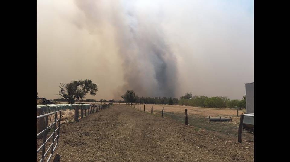 The view looking north west from the driveway to the dairy on Dale Hank's Harvey farm as the bushfire approached on Saturday afternoon. The picture was taken by Nick Henderson who helped prepare the farm for the worst.
