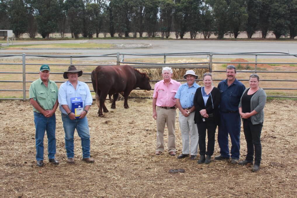 $10,000 was the top price paid for a Narralda Shorthorn bull at the stud&#146;s bull sale at Mount Barker last week. Pictured with the bull is Landmark Great Southern area manager Bob Pumphrey (left), who purchased the bull on behalf of Stockdale Partners, Hyden, Zoetis representative Ben Fletcher, Elders WA livestock sales manager Tom Marron and Narralda stud principal Alex Burrow and his family 