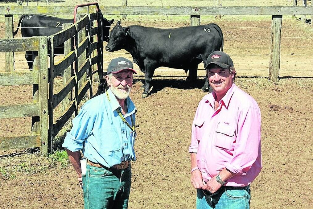 Ardcairnie Angus stud principal Jim McGregor (left), Kojonup and Elders Kojonup agent Jamie Hart, with the $11,000 top-priced bull of the Ardcairnie Angus on-property bull sale. The bull was purchased by Bullrush Farms, Gingin.