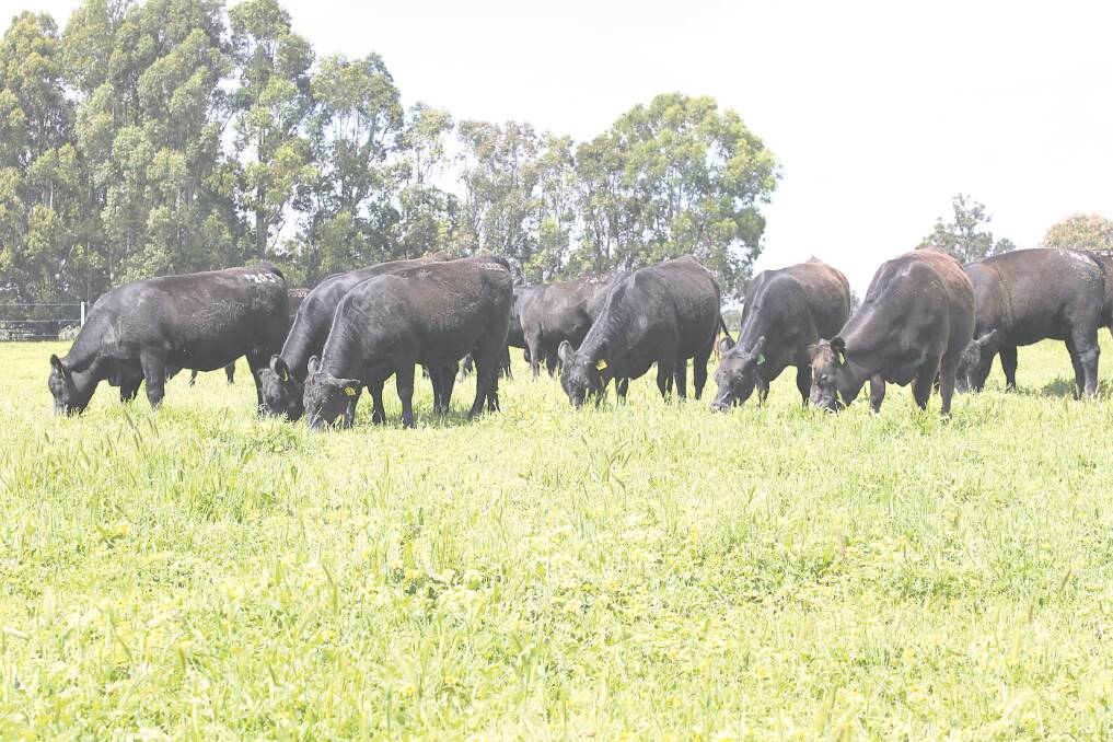 Cattle disease surveillance under review
