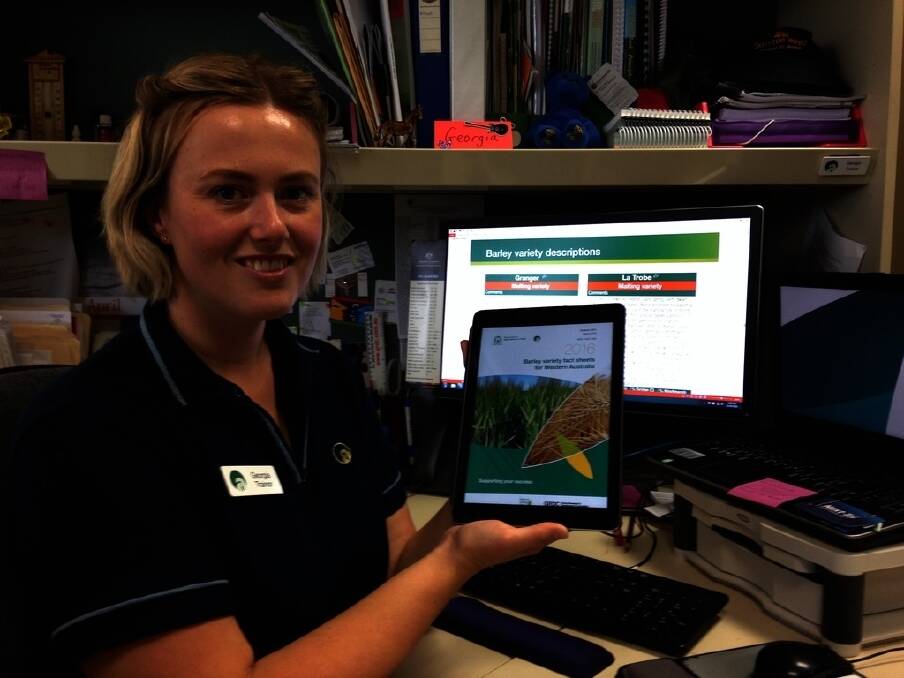 Department of Agriculture and Food development officer Georgia Trainor scrolls through the updated Barley Variety Fact Sheets for Western Australia 2016, which is available on the department&#39;s website.