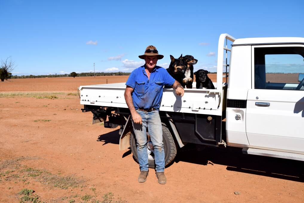 Moorine Rock producer Joe Granich with his faithful companions Banjo, PJ and Bella. Joe runs 900 Merino ewes which are mated to Merino and Suffolk rams and a herd of 90 breeding cows alongside the family's 2700 hectare cropping program and a trucking company.