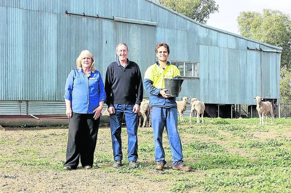 Muresk Institute general manager Prue Jenkins (left), new farm supervisor Rob de Gruchy and agriculture trainee Kerin Bennell feeding a small mob of the institute&#39;s Merino and Dohne flocks.