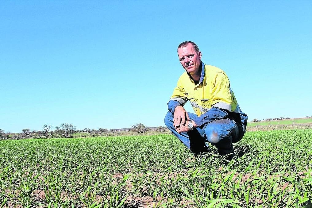 With seeding well out of the way, Mingenew grower Jeremy Walsley is very happy with how the season is shaping up.