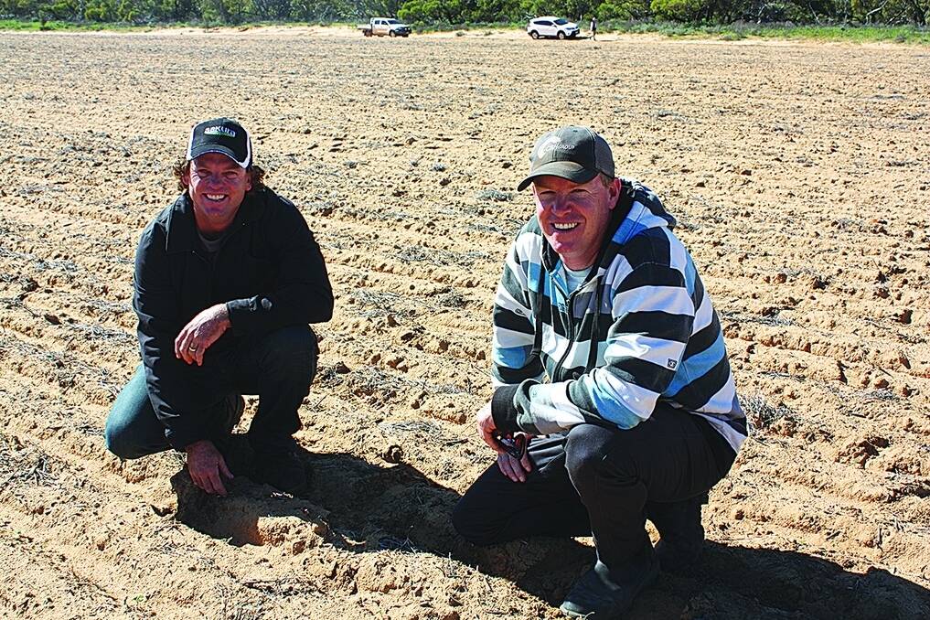 Yuna Farm Improvement Group president Brady Green (right) and committeeman Jason Batten checking out plant counts of a canola trial set up earlier this month to assess seeding depth.