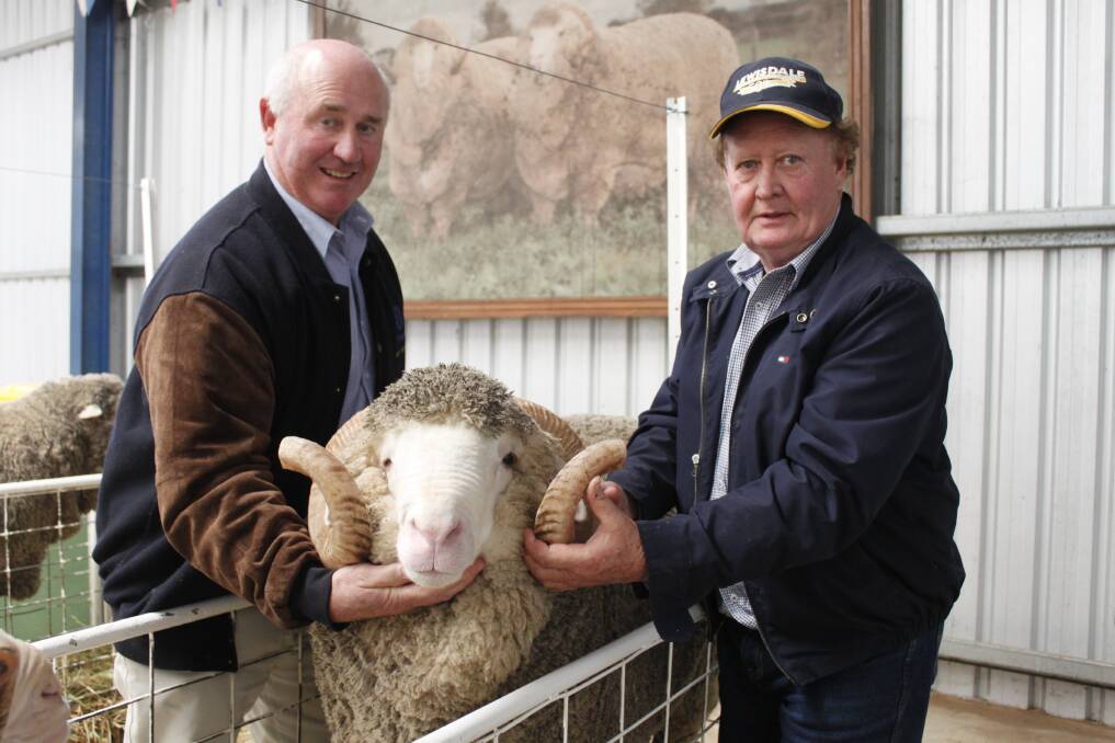 Top price buyer Stephen Fowler (left), Boyatup and Lewisdale stud principal Ray Lewis, Wickepin, with lot one - the top-priced horned Merino stud ram (2014 drop) which sold for $3000.