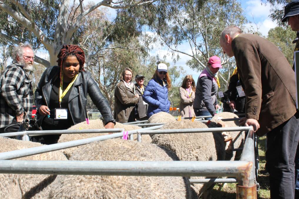 Attendees got hands on with the Ejanding rams on display at the Sheep Easy 2016 field day in a demonstration of the benefit of considering ASBVs along with visual assessments when making ram selections.
