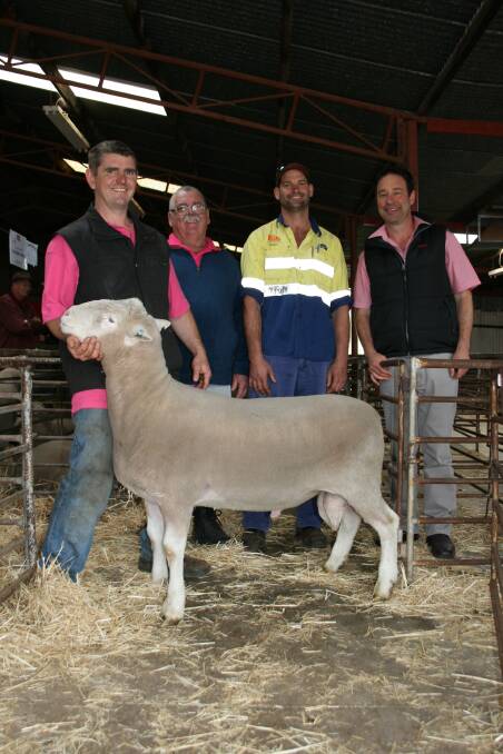 Nathan (left) and Allan Lawrence with the Poll Dorset ram from their Canternatting stud which sold for the sale's top price of $1250 to Scott McPherson, Northam, with Elders representative Wayne Manoni.