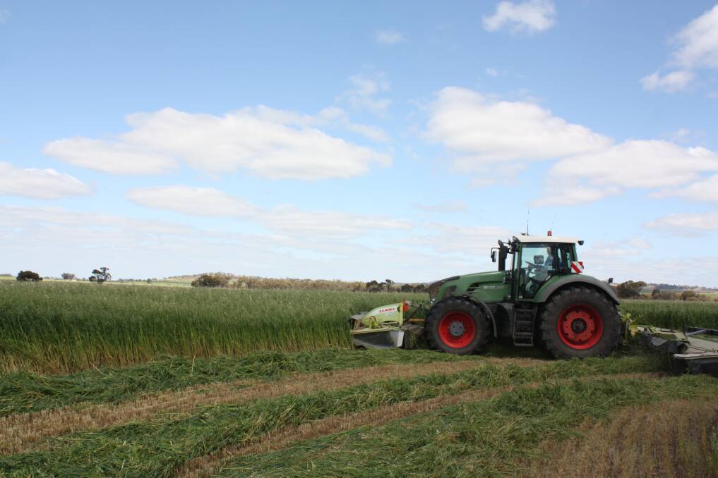 The front-mounted CLAAS Disco 3600 in action.