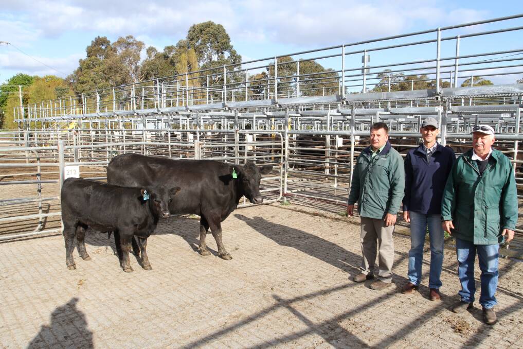 Stud Angus female values reached a top price of $7200 at the Diamond Tree Angus stud dispersal sale at Boyanup last week for a PTIC cow and heifer calf at foot. With the unit were Brett Chatley (left), Landmark Manjimup, Diamond Tree stud co-principal Ian Schwartz and buyer Alf Lorkiewicz, White Valley Angus stud, Dardanup.