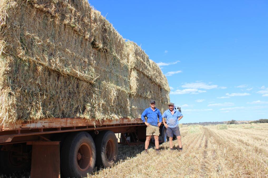 Duncan Glasfurd (left) and father Ray with the oaten hay at their Cataby farm.