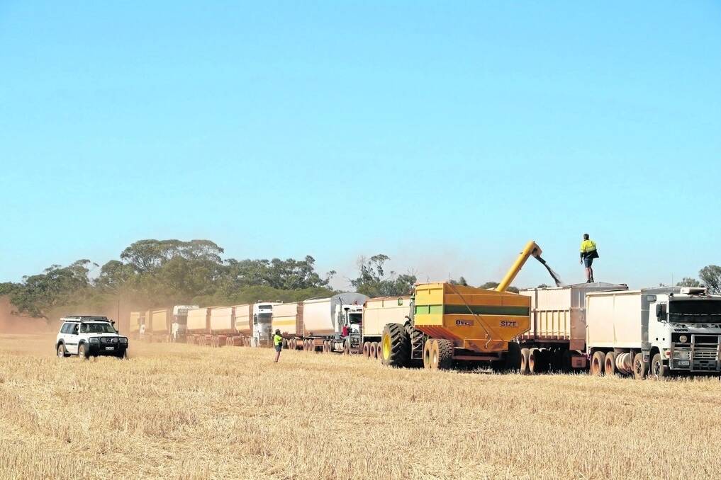 Some of the road trains lined up to deliver to two CBH receival points open on the day.