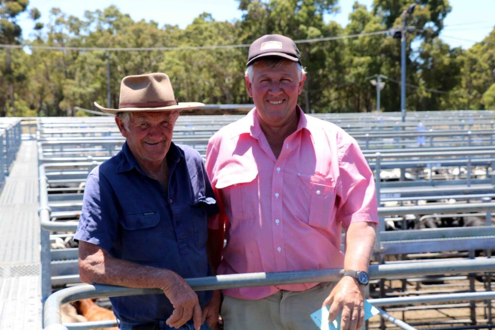 Frank Brookes (left), Yornup and local Elders Donnybrook representative Bill Kesell inspected the yarding before the sale where Mr Kessell purchased cattle for clients.