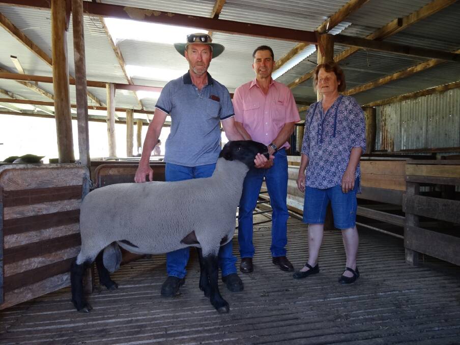 Wychwood Suffolk stud's Dean Fairey (left) with Alec Williams and top price buyer Sylvia Credaro, who secured four Wychwood sires at an average of $790.