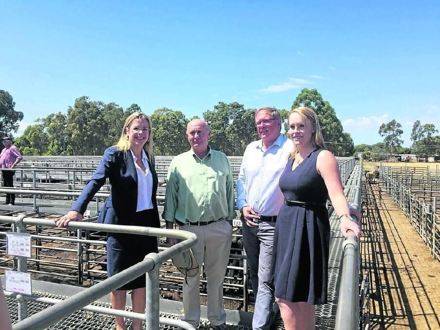 Liberal Member for Vasse MLA Libby Mettam (left), Capel Shire president Murray Scott, Agriculture and Food Minister Mark Lewis and Liberal candidate for Collie-Preston Elysia Harverson at the Boyanup sale yards.