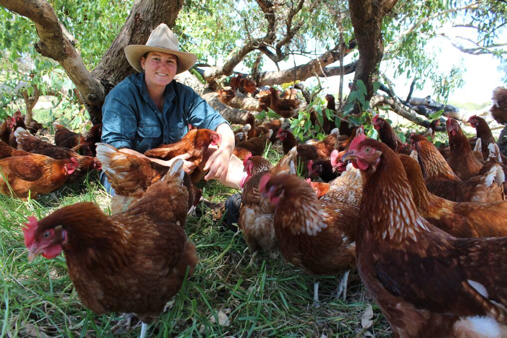 Chickens are playing a key role at Blythe Calnan's Binningup property, Runnymede Farm.